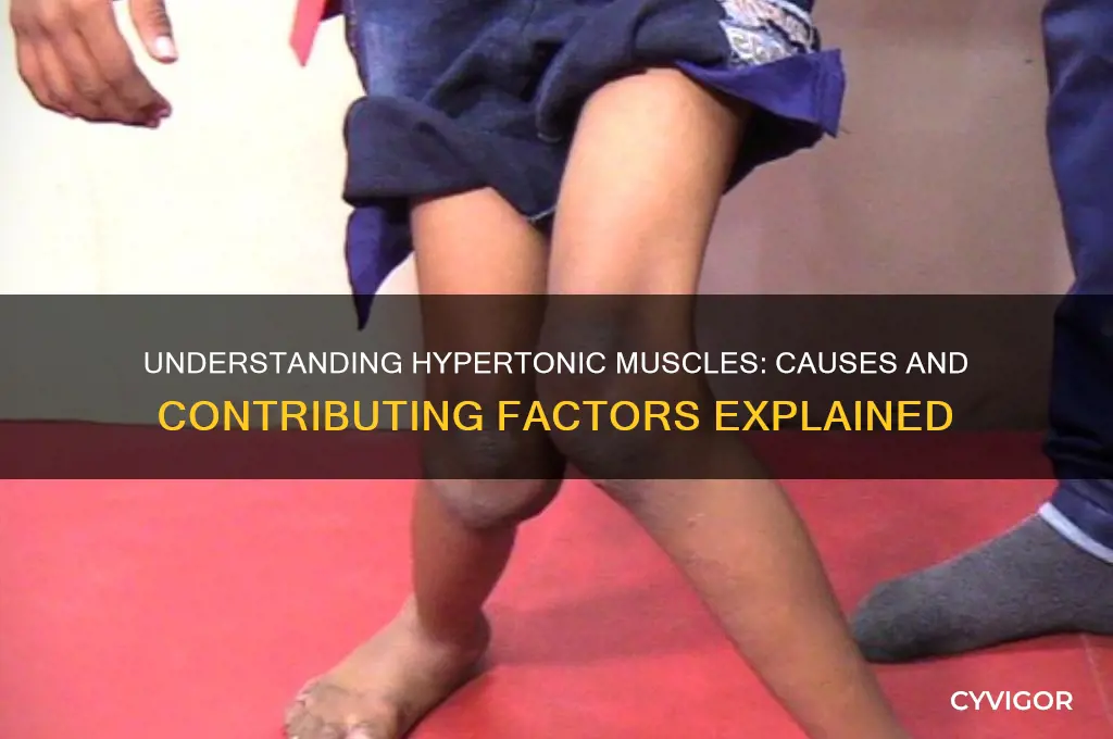 what causes hypertonic muscles