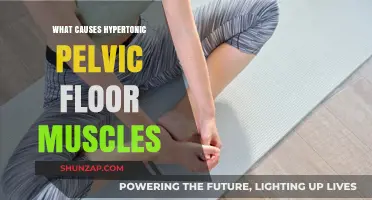 Understanding Hypertonic Pelvic Floor: Causes and Contributing Factors Explained