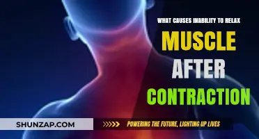 Understanding Muscle Stiffness: Causes of Prolonged Contraction and Relaxation Issues