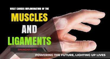 Understanding Muscle and Ligament Inflammation: Causes and Triggers Explained