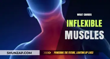 Understanding the Root Causes of Inflexible Muscles and Stiffness