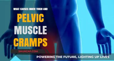 Understanding Inner Thigh and Pelvic Muscle Cramps: Causes and Relief