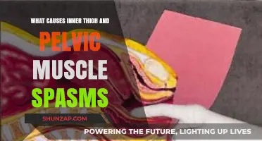 Understanding Inner Thigh and Pelvic Muscle Spasms: Causes and Triggers