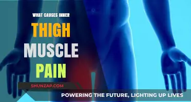 Understanding Inner Thigh Muscle Pain: Causes and Relief Strategies