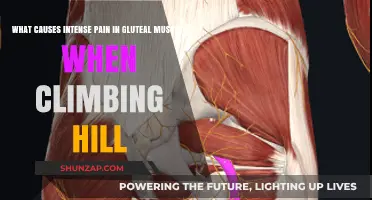 Hill Climbers' Glute Pain: Causes and Remedies for Intense Discomfort