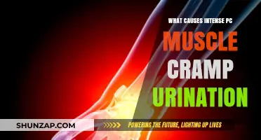 Intense PC Muscle Cramps During Urination: Causes and Solutions