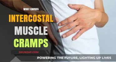 Understanding Intercostal Muscle Cramps: Causes and Triggers Explained