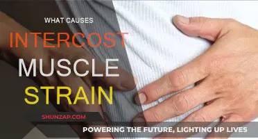 Intercostal Muscle Strain: Causes and Triggers
