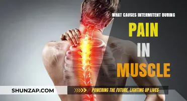 Intermittent Muscle Burning Pain: Causes and Underlying Triggers Explained