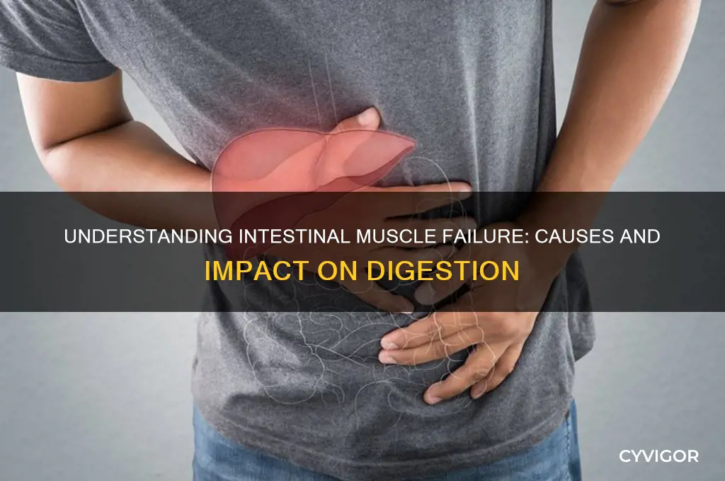 what causes intestional muscles to stop working