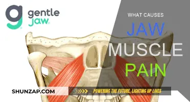 Unlocking Jaw Muscle Pain: Root Causes and Relief