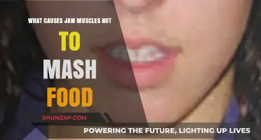 Jaw Muscle Weakness: Causes Behind Difficulty Chewing Food Effectively