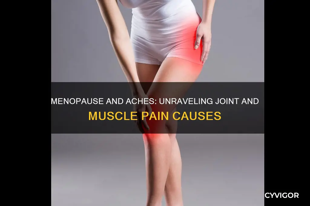 what causes joint and muscle pain in menopause