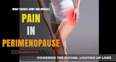 Perimenopause Pain: Unraveling Joint and Muscle Discomfort Causes