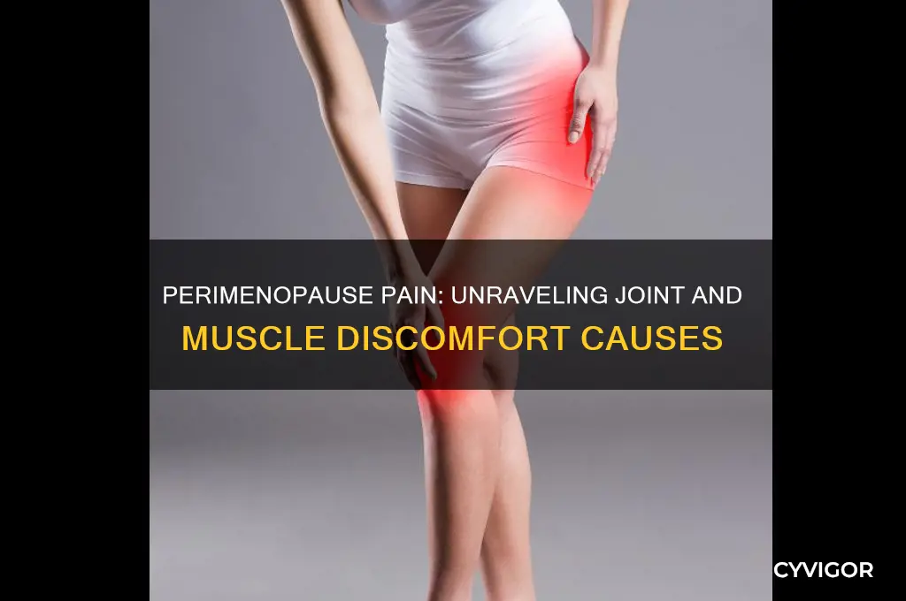 what causes joint and muscle pain in perimenopause