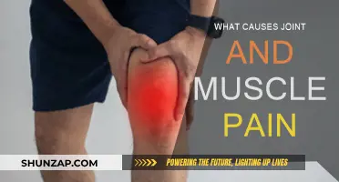 Understanding Joint and Muscle Pain Triggers