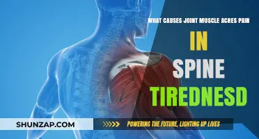 Understanding Joint Pain, Muscle Aches, Spine Discomfort, and Persistent Fatigue
