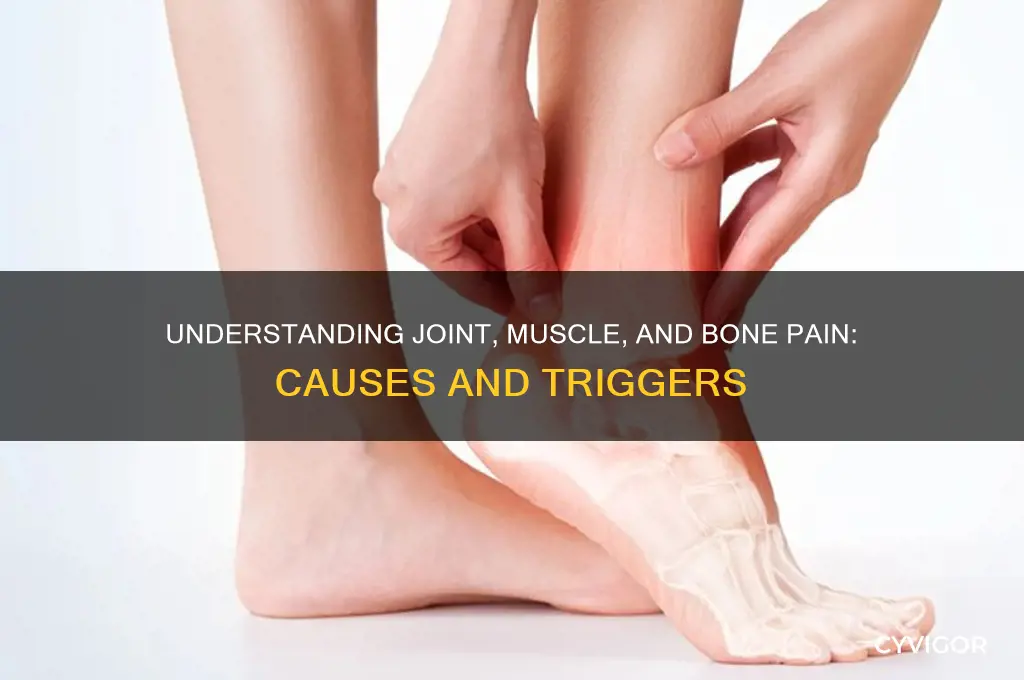 what causes joint muscle and bone pain