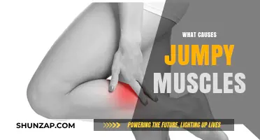 Understanding Jumpy Muscles: Causes, Triggers, and Effective Remedies