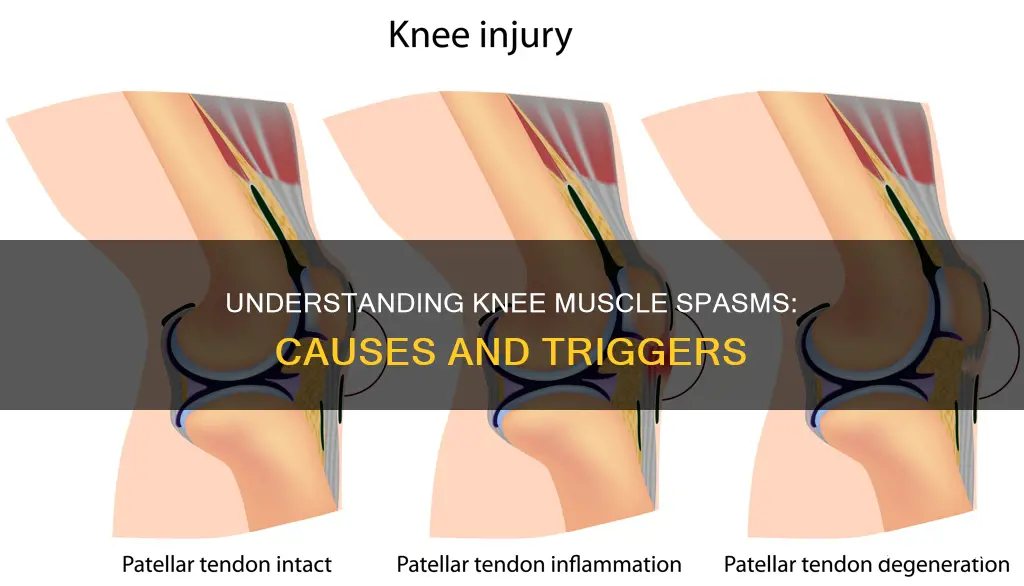what causes knee muscle spasms