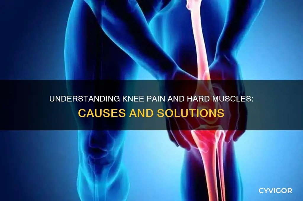 what causes knee pain and hard muscle
