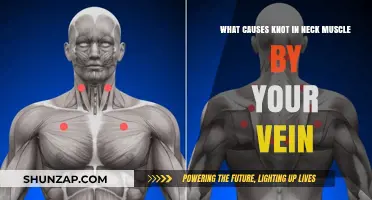 Neck Muscle Knots Near Veins: Causes and Relief Explained