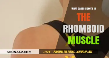 Understanding Rhomboid Muscle Knots: Causes and Prevention Strategies