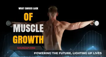 Unraveling the Mystery: Why Your Muscles Aren't Growing as Expected