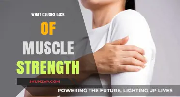 Unraveling the Causes of Weak Muscles: A Comprehensive Guide
