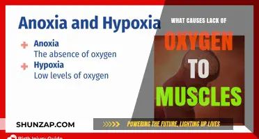 Understanding Muscle Hypoxia: Causes of Oxygen Deprivation in Muscles