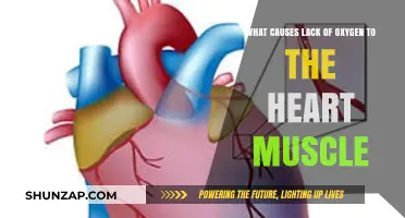 Understanding the Causes of Oxygen Deprivation in Heart Muscle