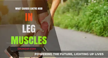 Understanding Lactic Acid Buildup in Leg Muscles: Causes and Prevention