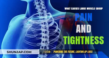 Understanding Causes of Large Muscle Group Pain and Tightness
