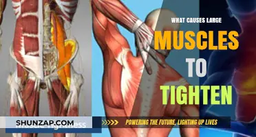 Why Large Muscles Tighten: Causes and Prevention Strategies Explained