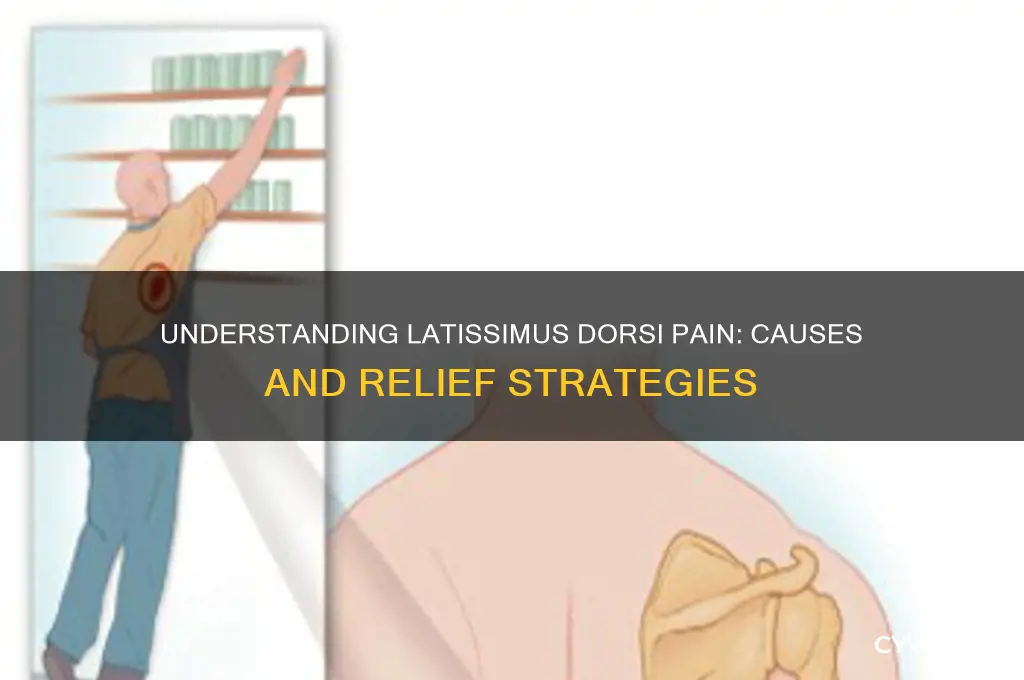 what causes lat muscle pain