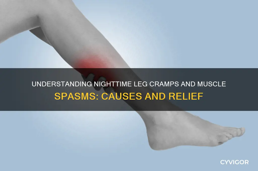 what causes leg cramps and muscle spasms at night