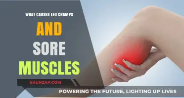 Understanding Leg Cramps and Sore Muscles: Causes and Prevention Tips