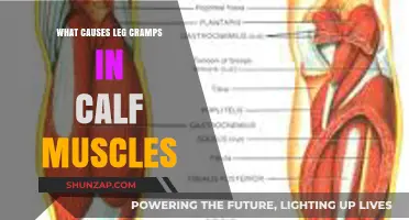 Understanding Calf Muscle Cramps: Causes and Prevention Tips