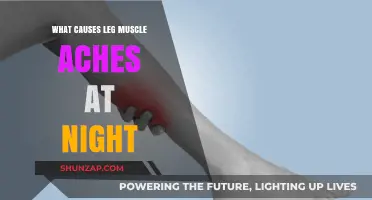 Why Do Leg Muscles Ache at Night? Causes and Remedies