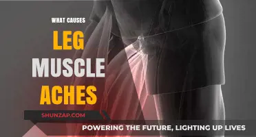 Understanding Leg Muscle Aches: Common Causes and Effective Remedies