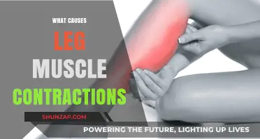 Understanding Leg Muscle Contractions: Causes and Contributing Factors Explained