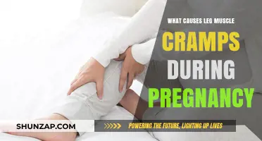 Pregnancy Leg Cramps: Unraveling Causes and Relief Strategies for Moms-to-Be
