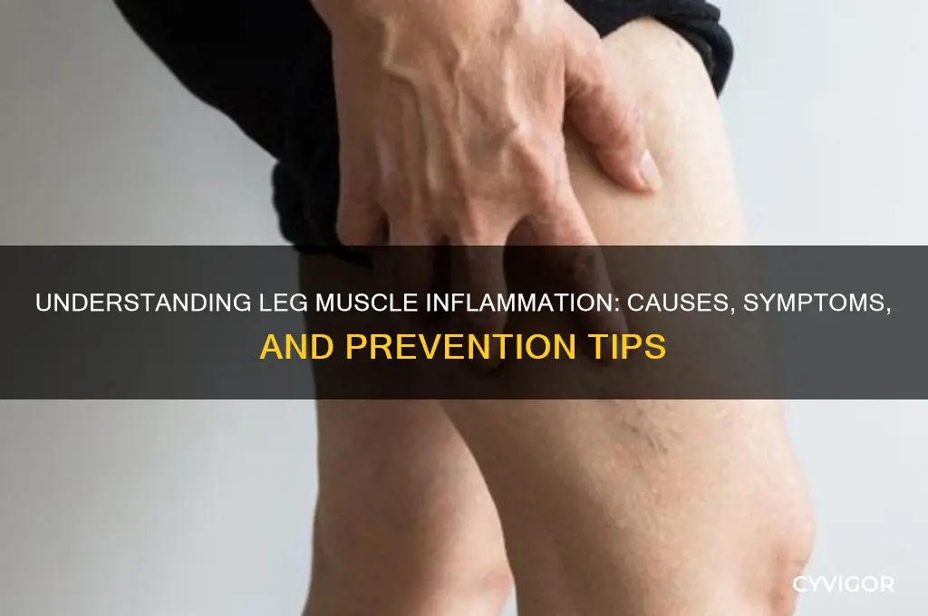 what causes leg muscle inflammation