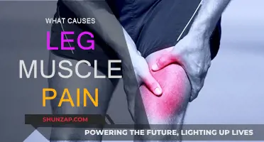 Leg Muscle Pain: Understanding the Root Cause