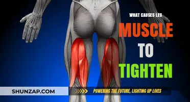 Understanding Leg Muscle Tightness: Causes and Effective Relief Strategies