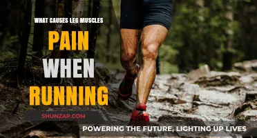 Understanding Leg Muscle Pain: Common Causes in Runners Explained