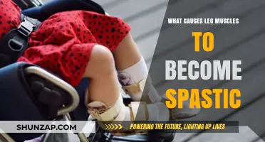 Understanding Spasticity: Causes of Leg Muscle Tightness and Stiffness