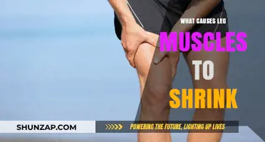 Understanding Leg Muscle Atrophy: Causes and Prevention Strategies