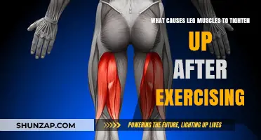 Why Leg Muscles Tighten Post-Workout: Causes and Prevention Tips