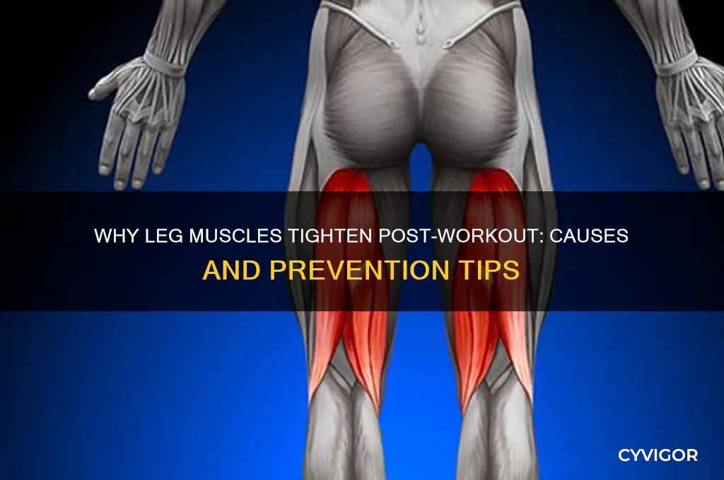 what causes leg muscles to tighten up after exercising
